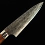 Cuchillo Japonés Petty - TAKESHI SAJI - Acero Damasco R2 - Diamond Finish - Tam: 13.5 / 15cm